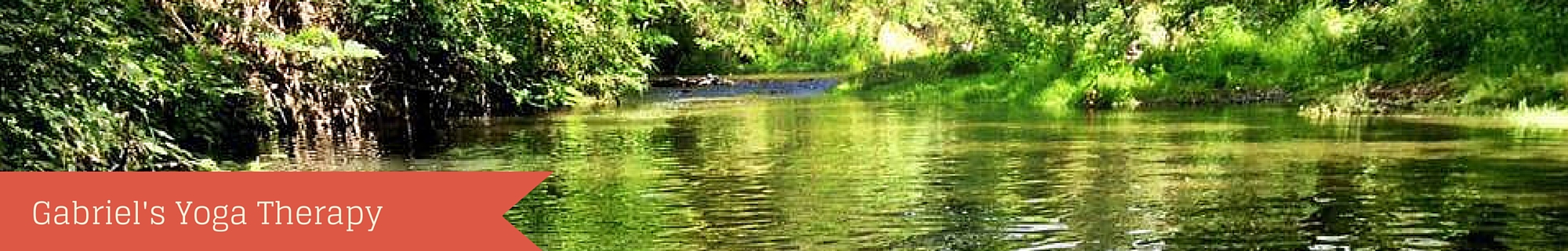 Gabriel's Yoga Therapy